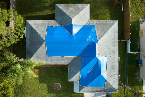 Best Asphalt Shingle Roofing  in Booneville, MS
